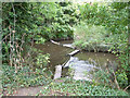 The River Crane divides