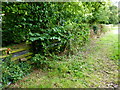 Looking along field edge from footpath stile on Southwood Road