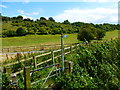 Footpath to Alton leaves New Odiham Road