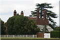 View of a large house in Matching Green from the green #2