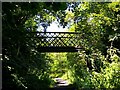 A Bridge over Pensnett Railway Walk