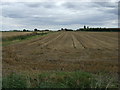 Harvested crop field, Herne Common