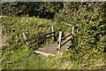 SD3001 : A footbridge into Sniggery Wood by Ian Greig