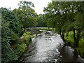 The River Teifi at Maesycrugiau