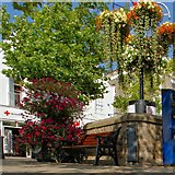TF4609 : Market Place, Wisbech - Panorama 2 of 2 by Dave Hitchborne