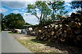 Near Ewhurst Green East Sussex the Wood Yard