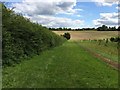 Grassy path between hedge and electric fence