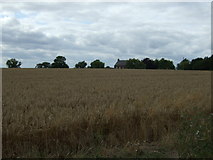 TL2674 : Crop field, Hartford Hill by JThomas