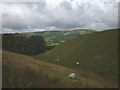 SD6646 : Dry valley below Whitewell Cave by Karl and Ali