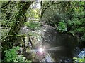 Haye Valley Stream