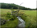 The Nant Gwylan near Aber-banc