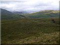 NN3703 : Grassy slopes on north-east of Maol nan Aighean near Ben Lomond by ian shiell