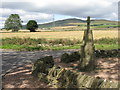 NO4038 : Angus landscape by M J Richardson