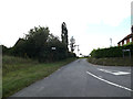 TM3193 : Low Road, Hedenham by Geographer