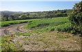 Field near Trevigro