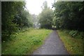 Tarka Trail approaching Petrockstowe station