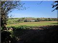 Field near Bearland