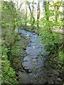 Haye Valley Stream