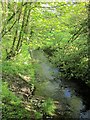 Haye Valley Stream