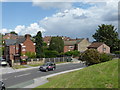 Richmond Park rooftops