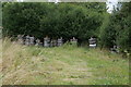 SE3146 : Bee Hives near Red House Farm by Ian S