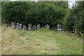 Bee Hives near Red House Farm