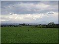 Farmland by Trees