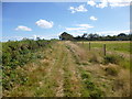 East Knighton, bridleway