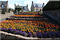 Flower Garden at West Kilbride