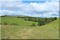 Farmland near Dykehead