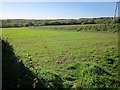 Farmland near Downend