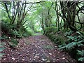 Llwybr Gwarcwm / Gwarcwm path