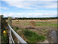 Straw bales in a field bordering on the Ballyhornan Road