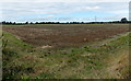 Bare field near David Hendry Cars, Malmesbury