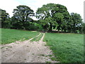 Track across a field on the north side of Ballysallagh Road