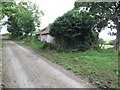 Ruined homestead on the Ballysallagh Road