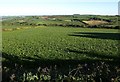 Field beside the A390