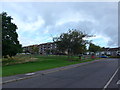 Looking from Maxton Road across to Murrayfield Loan