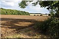 Ploughed field next to Alder Wood