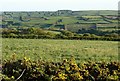 Farmland around Harrowbarrow