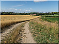 TL3451 : Farm Track above Cobbs Wood Farm by Kim Fyson