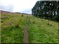 NO2132 : View Towards Dunsinane Hill by Rude Health 