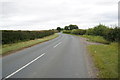 Wighill Lane towards Wighill