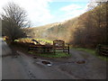 Welcome to Abbey Tintern Furnace