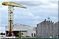 J3575 : Crane, Harland & Wolff, Belfast (August 2014) by Albert Bridge