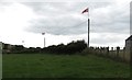 Flags on Dromara Road