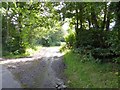 Track into Stafford Moor woods