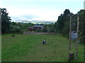 Horses grazing in a field below Crieff Bridge