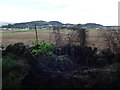 Footpath from Crieff Bridge to Duchlage (7b)