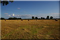 TG3817 : Ludham: view south-east off Hall Common Lane by Christopher Hilton